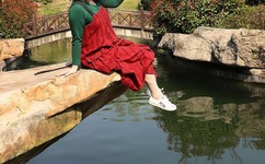 ZOOM动物合集VERDEOS